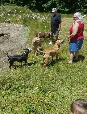 Image may contain: 1 person, standing, dog, outdoor and nature