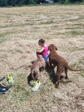 Image may contain: one or more people, dog, outdoor and nature